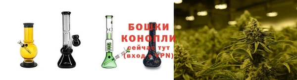 spice Рославль