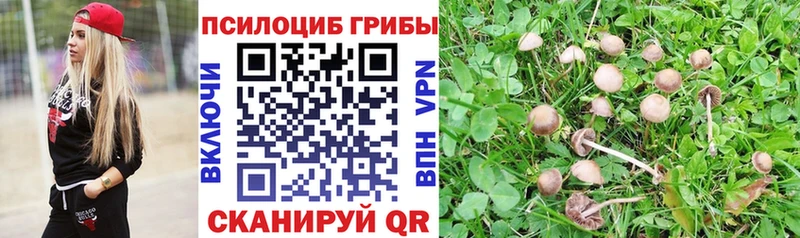 Псилоцибиновые грибы Magic Shrooms  дарнет шоп  Тейково 