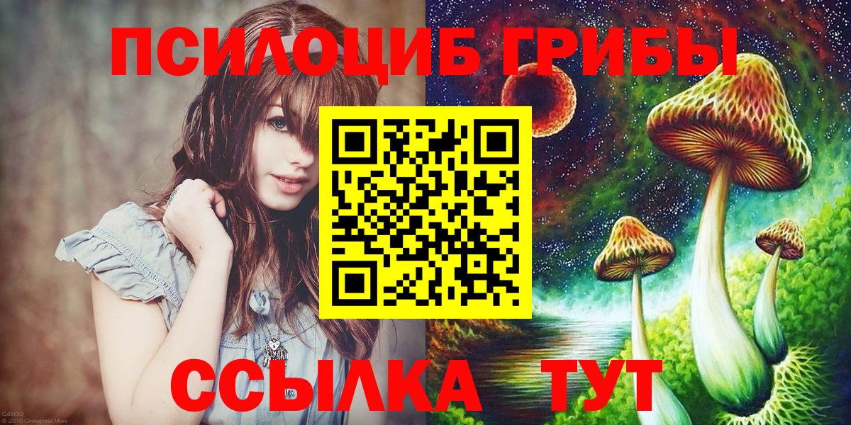Псилоцибиновые грибы Psilocybe Тейково