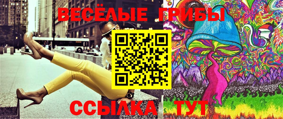 Тейково  Галлюциногенные грибы ЛСД  Галлюциногенные грибы Psilocybe  Вход с VPN 